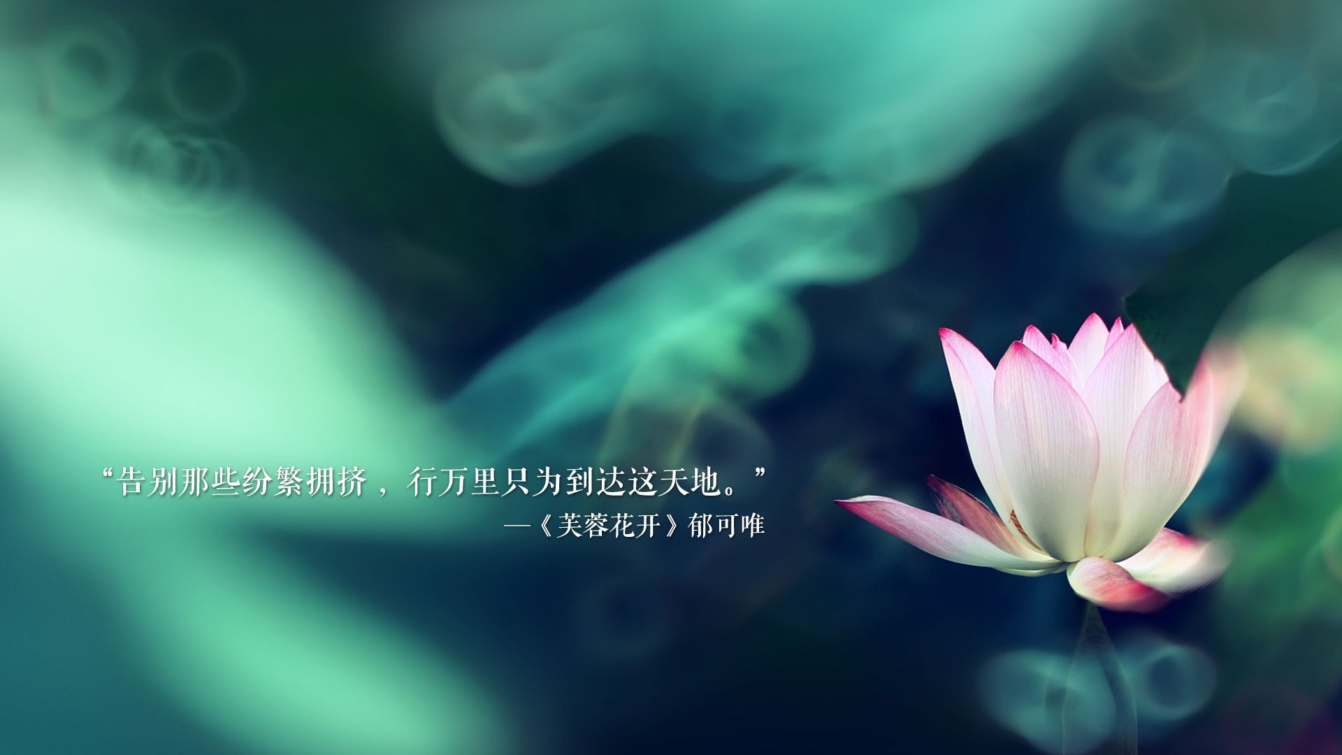 爱游戏综合娱乐-“意甲争夺激烈，年轻豪门崭露头角”，意甲曾经的豪门