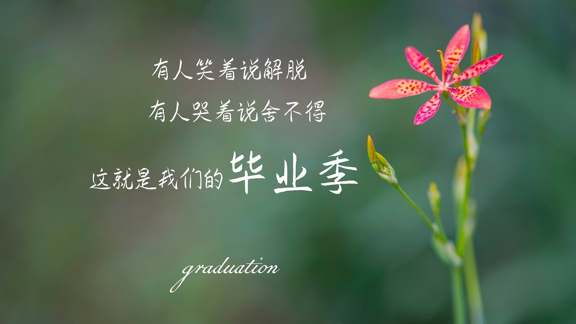 官方公告：公布最新联赛规则变化，今年联赛规则