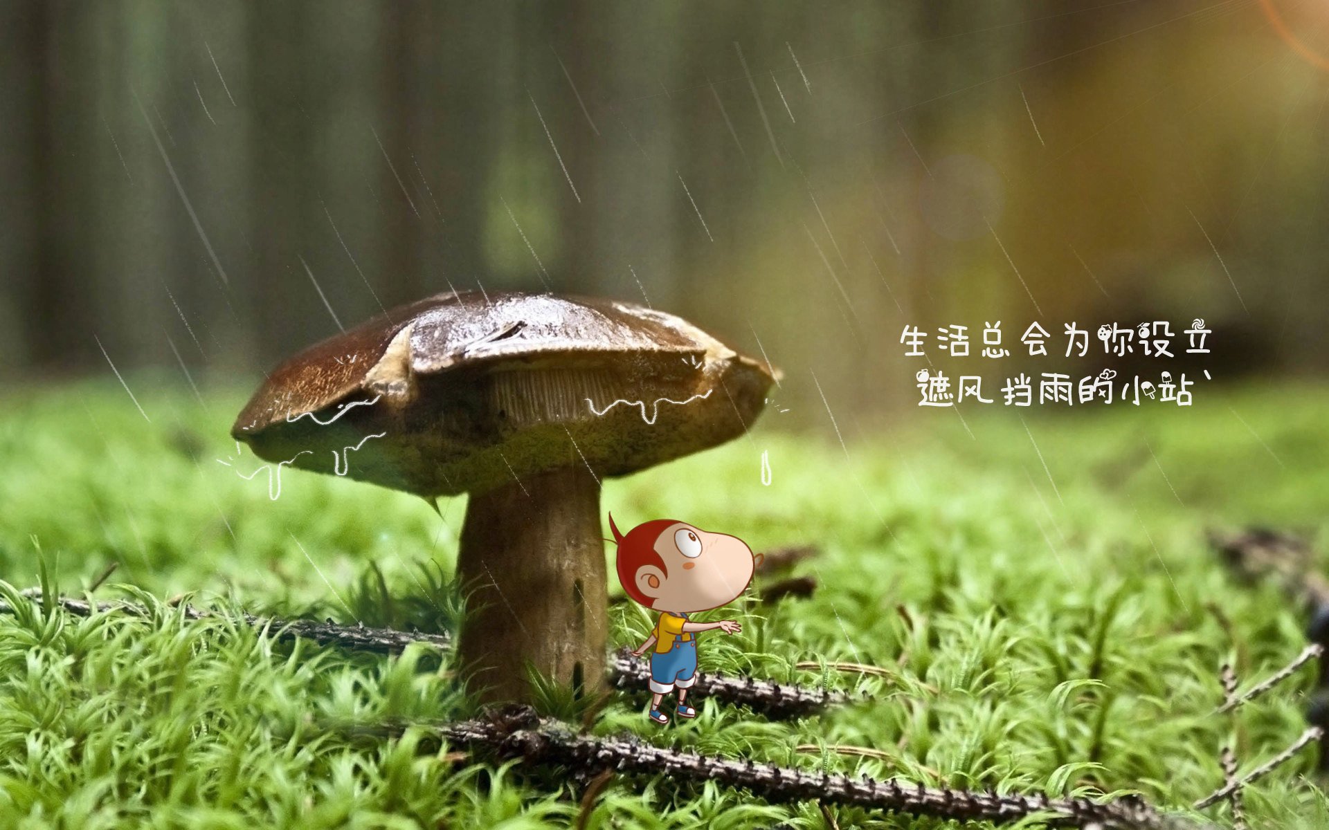德国横扫前南斯拉夫，取得四连胜，德国占领南斯拉夫了吗