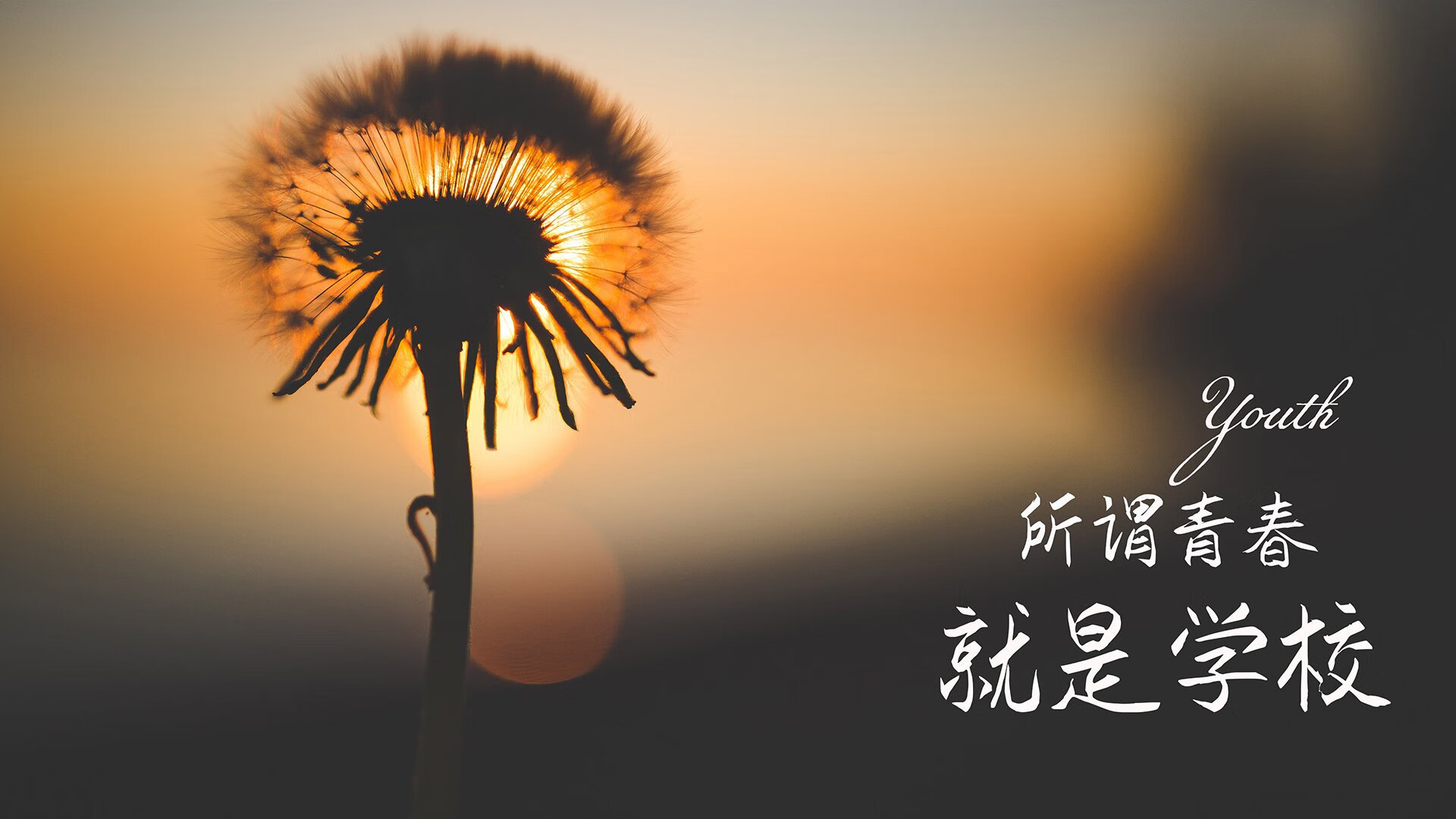 王牌队球员健康状况良好，王牌篮球队