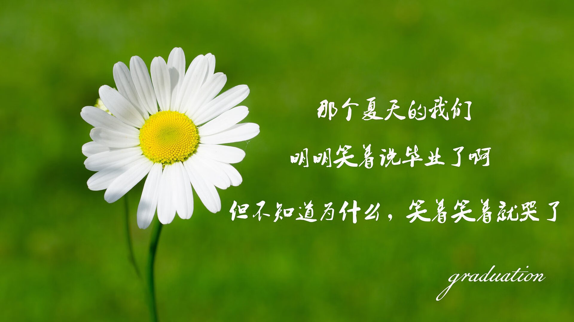 突尼斯篮球发展项目推进，突尼斯运动员