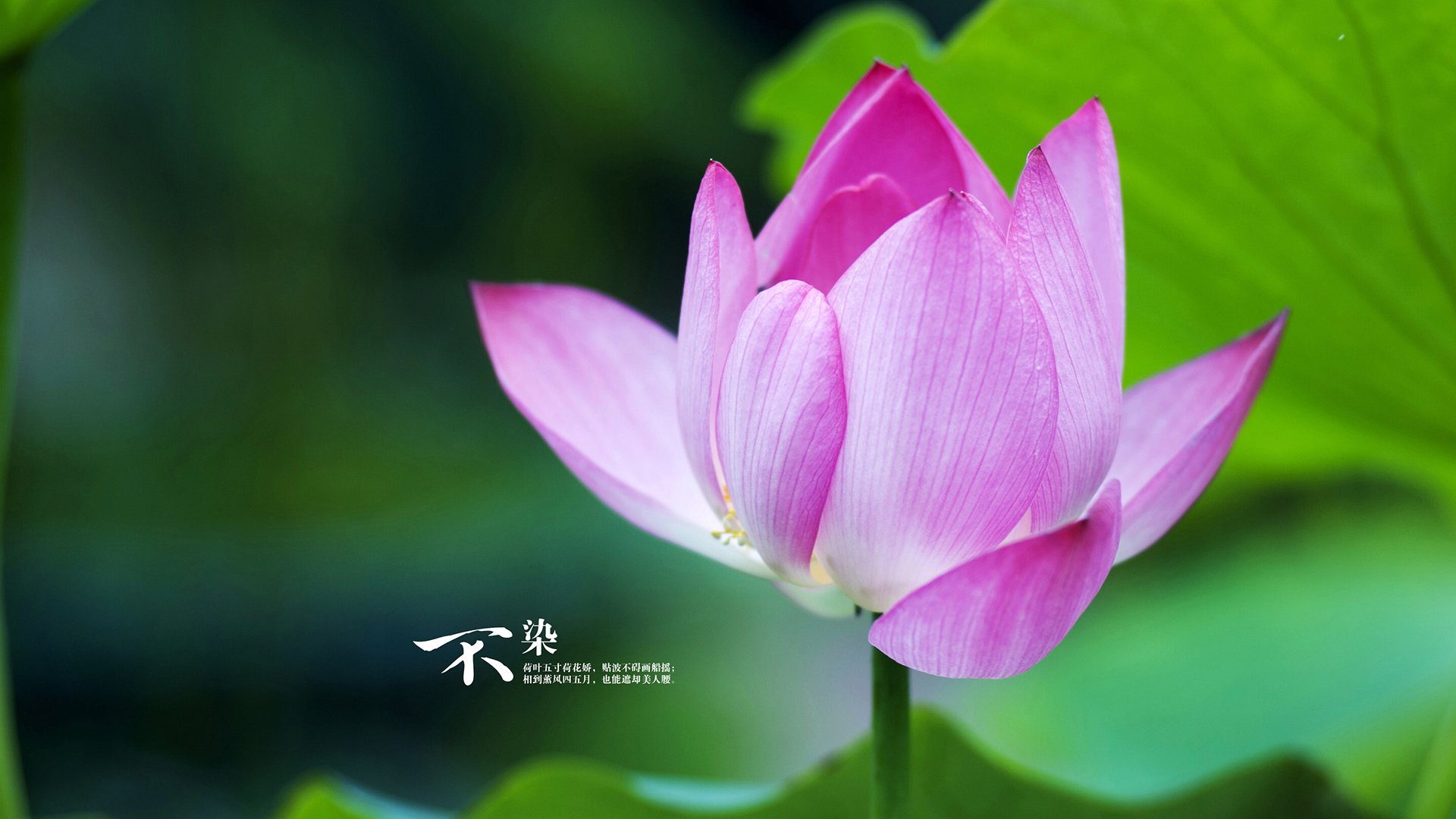 背水一战：赛场上的血战情节，势均力敌，背水一战 秒懂百科