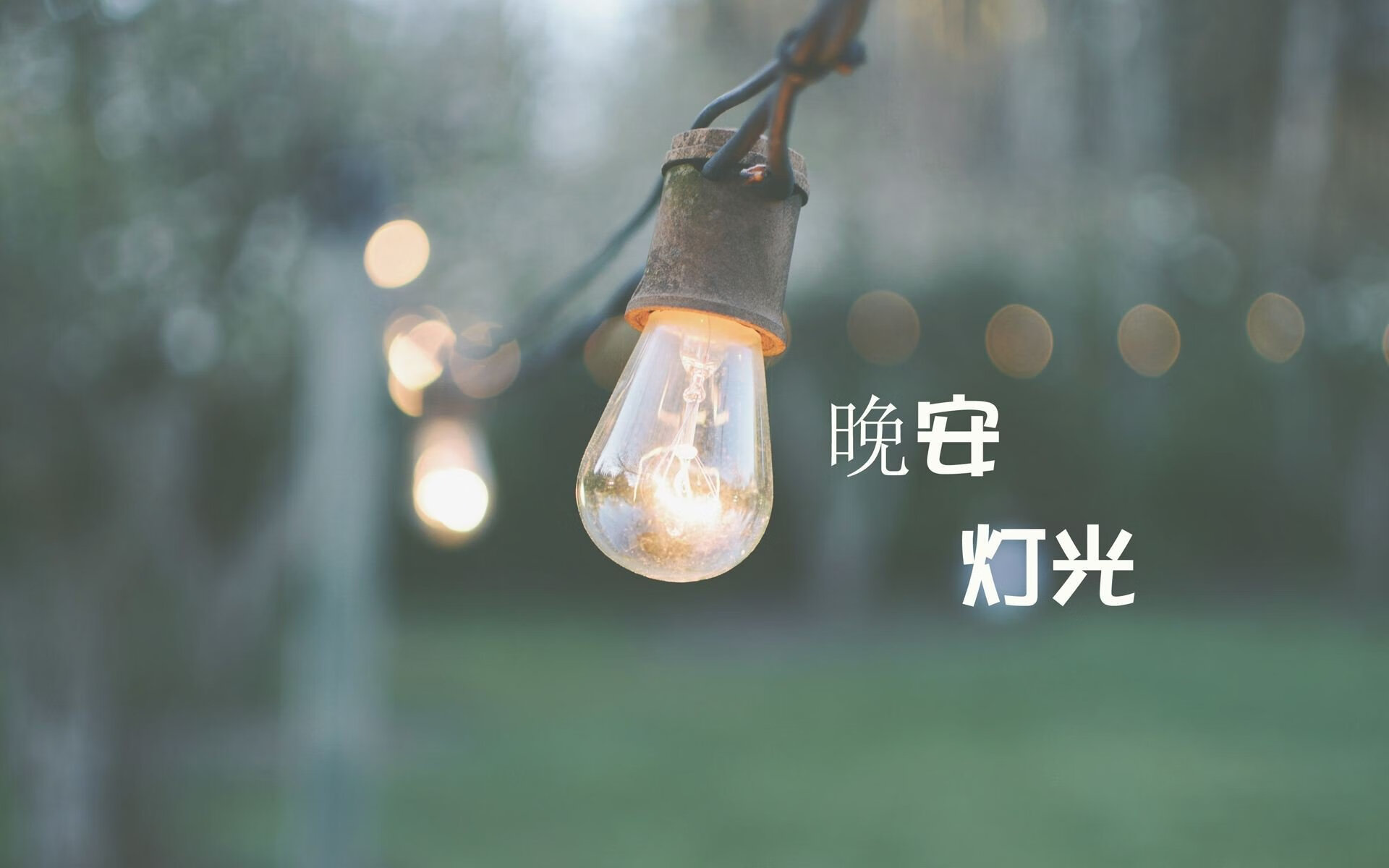 加拿大队在国际乒联混合团体世界杯中的成长之路与未来展望，加拿大乒乓球外援